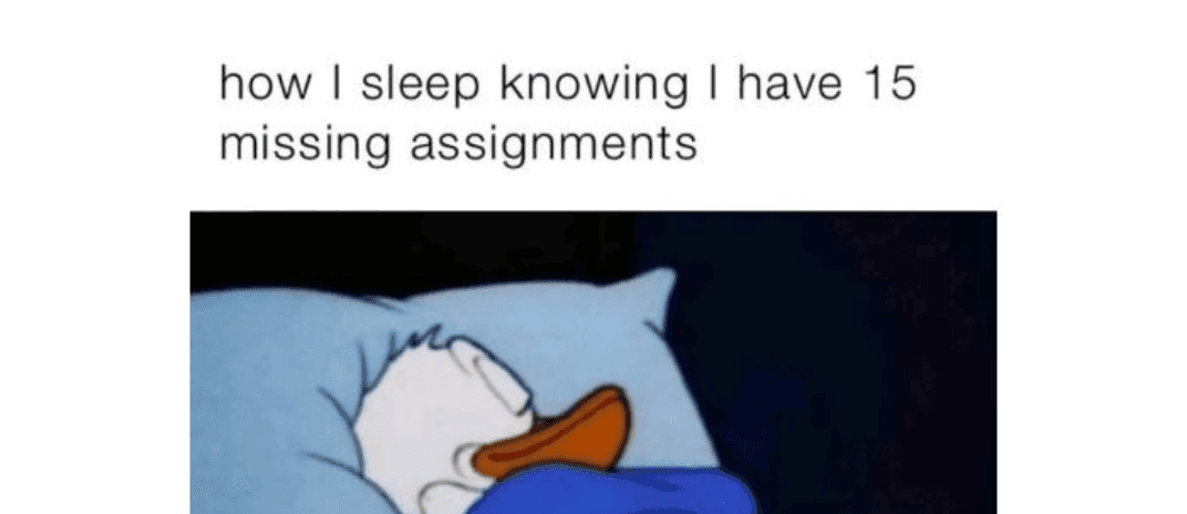 how i sleep knowing memes to make you laugh