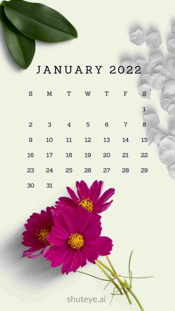 ShutEye Free Printable January Calendar 2022
