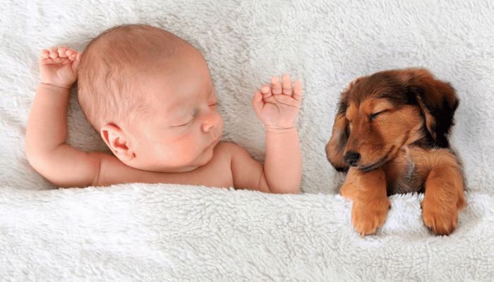baby sleep training