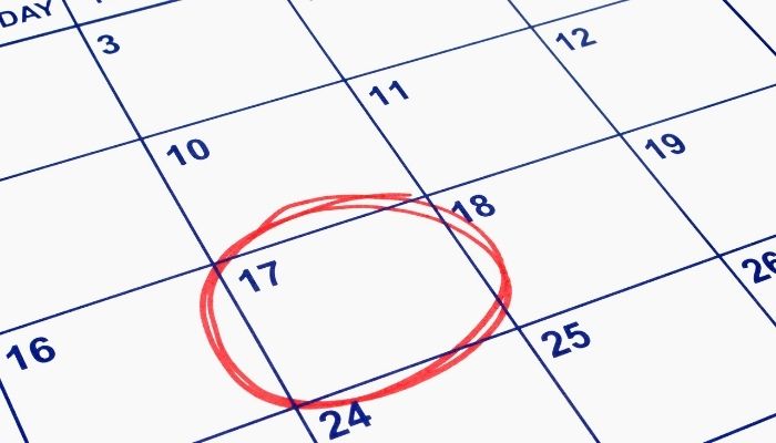 printable august calendar 2021 free printable calendars shuteye