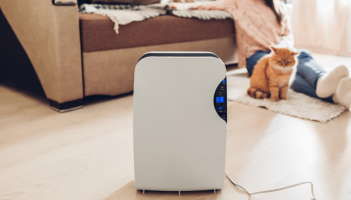 air purifier in a wooden floor beside a cat