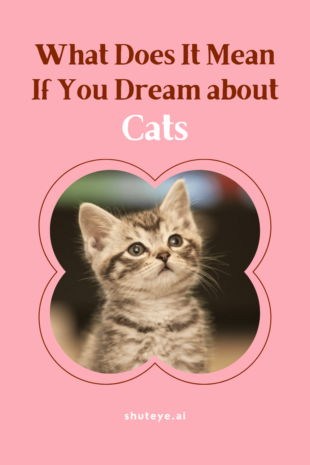 What Does It Mean If You Dream about Cats?