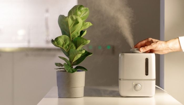 ShutEye Keep our in-home air humid by using a humidifier