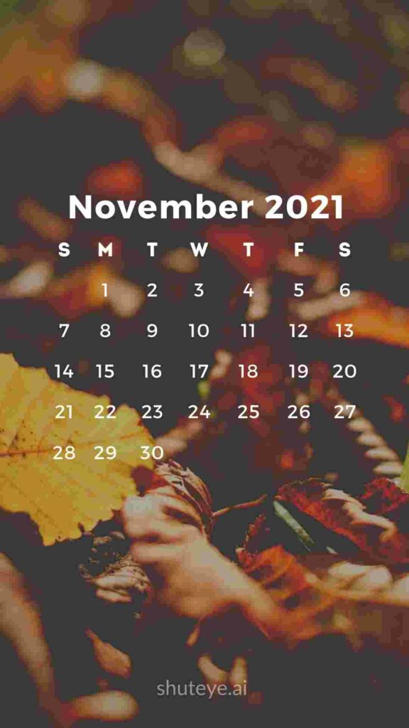 ShutEye Printable November Calendar 2021
