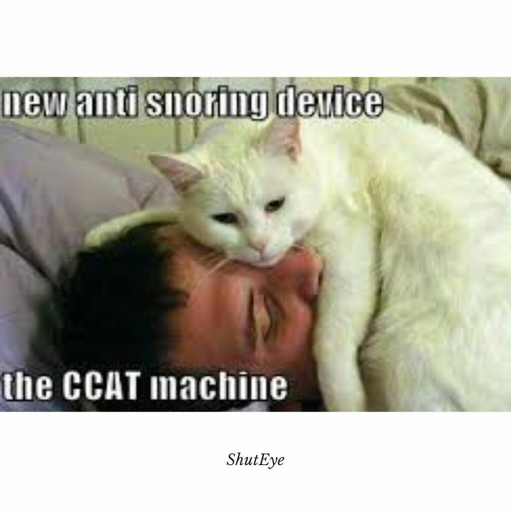 Best Snoring Memes of 2023 - ShutEye