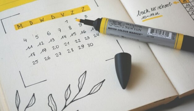 ShutEye Printable January Calendar 2021 | Free Calendar Templates
